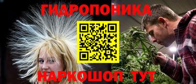 молекула духа Волжск