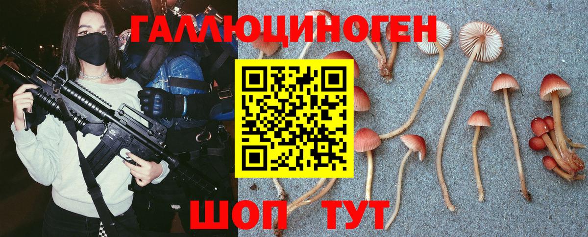Псилоцибиновые грибы Cubensis Истра