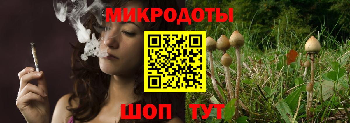 Истра  Псилоцибиновые грибы Psilocybine cubensis  Галлюциногенные грибы мицелий  Вход с VPN 